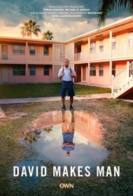 Постер Сериала Дэвид становится мужчиной