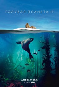 Постер Сериала Голубая планета 2