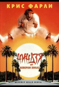 Постер Фильма Ниндзя из Беверли-Хиллз
