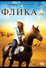 Постер Фильма Флика 2