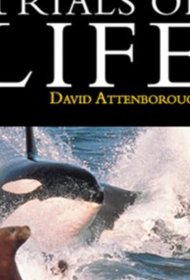 Постер Сериалa BBC: Борьба за выживание