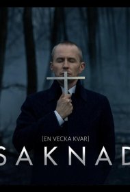 Постер Сериала Пропавшая