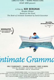 Постер Фильма Внутренняя грамматика