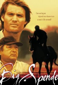 Постер Фильма Возвращение чемпиона