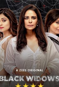 Постер Сериала Чёрные вдовы