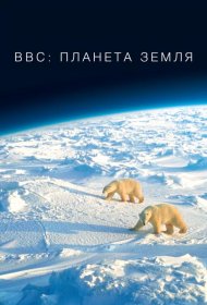 Постер Сериала BBC: Планета Земля