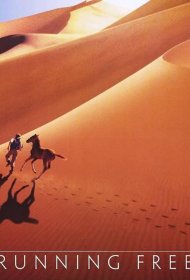 Постер Фильма Бегущий свободным