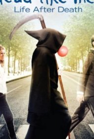 Постер Фильма Мёртвые как я: Жизнь после смерти