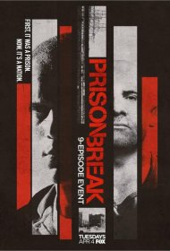 Постер Сериала Побег: Продолжение