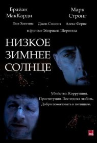 Постер Фильма Низкое зимнее солнце