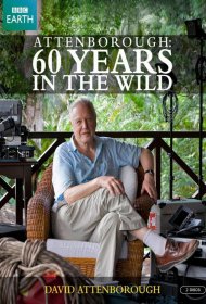 Постер Сериала Аттенборо. 60 лет с дикой природой