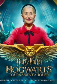 Постер ТВ шоуа Гарри Поттер: Турнир факультетов Хогвартса