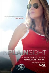 Постер Сериала В простом виде