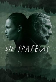 Постер Сериала Скворцы