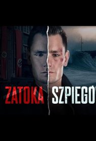 Постер Сериала Шпионский залив