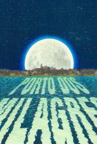 Постер Сериала Берег мечты