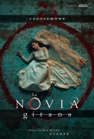 Постер Сериала Цыганская невеста