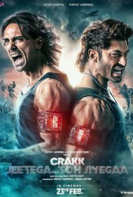 Постер Фильма Чокнутый