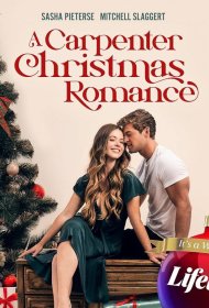 Постер Фильма Мастер по Рождеству