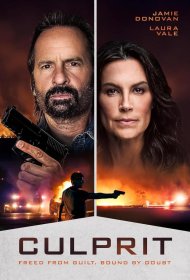 Постер Фильма Преступник