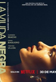 Постер Фильма Игра вдовы