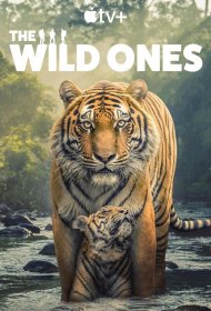 Постер Сериала В мире дикой природы