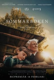 Постер Фильма Летний альбом