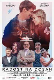 Постер Фильма Счастье на ладони