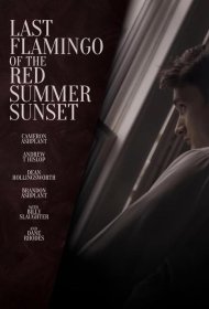 Постер Фильма Последний фламинго красного летнего заката