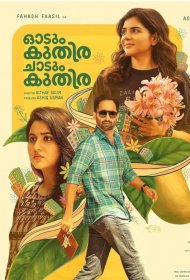 Постер Фильма Бегущий Конь, Скачущий Конь