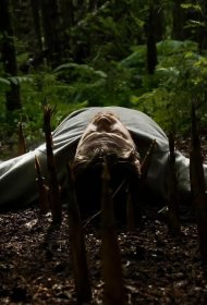 Постер Фильма Бамбук