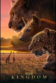 Постер Сериала Царство животных