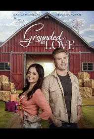 Постер Фильма Приземленная любовь