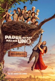 Постер Фильма Папа бывает только один 5: Полное гнездо