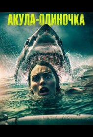 Постер Фильма Акула-одиночка