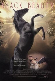 Постер Фильма Черный красавец