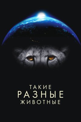 Постер tv-seriesа Такие разные животные